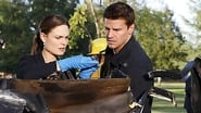 Imagen Bones 3x2