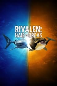 Rivalen: Haie vs. Orcas (2021)