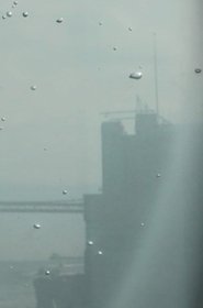 My Favorite Plankton