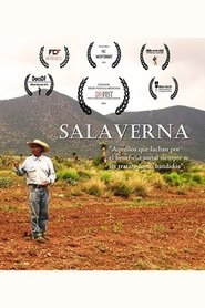 Poster Salaverna 2013