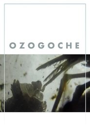 Ozogoche