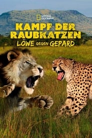 Poster Cat Wars: Lion vs. Cheetah