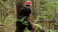 Lumber