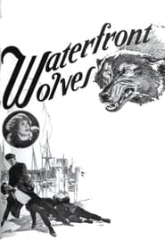Poster Waterfront Wolves
