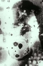 Poster N°5 1998