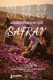 Safran: Safranbolu'nun Altın Çiçeği
