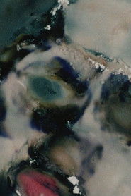 Poster Natural Features 1990