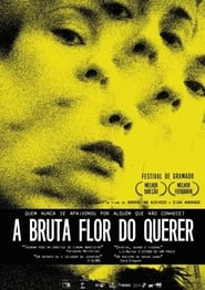 A Bruta Flor do Querer (2016)