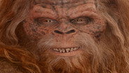 The Mystery of Bigfoot still