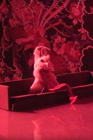 Poster Mole 2017
