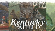 Kentucky Afield
