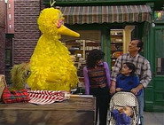 Big Bird's Beach Plans (3636)