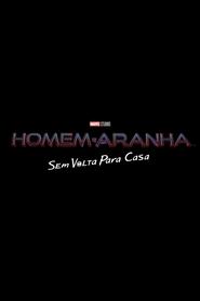 Spider-Man: No Way Home movie poster player