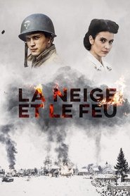 Poster Snow and Fire 1991