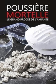 Poster Polvere - Il grande processo dell'amianto 2011