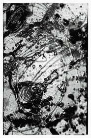 Calor e Náusea poster