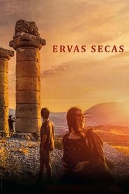 Pôster de Ervas Secas