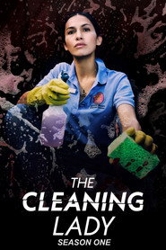 The Cleaning Lady Season 1 5
