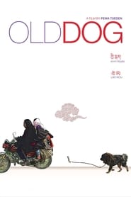 Poster van Old Dog
