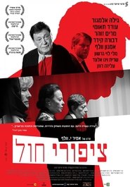 Poster ציפורי חול