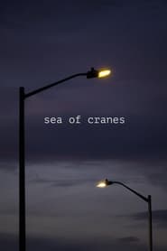 Sea of Cranes 2021