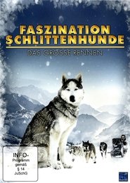 Poster Faszination Schlittenhunde - Das große Rennen 2012