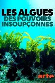 Les algues : Des pouvoirs insoupçonnés (2020)