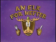 An Elk for Heffer