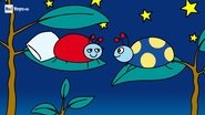 Bella coccinella