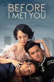 Poster Before I Met You
