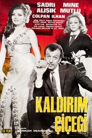 Poster Kaldırım Çiçeği