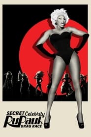 Secret Celebrity RuPaul's Drag Race poster