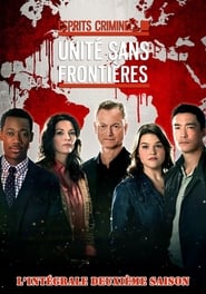 Criminal Minds: Beyond Borders Sezonul 2 Episodul 7 Online