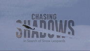 Chasing Shadows