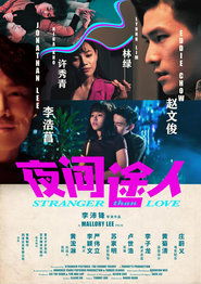 Poster 夜间途人