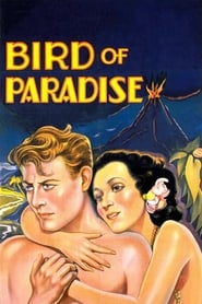 L'oiseau de paradis