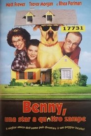 Benny, una star a quattro zampe