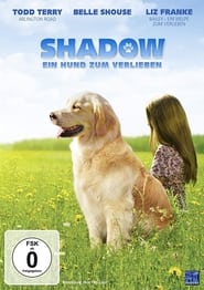 Poster Shadow - Ein Hund zum Verlieben