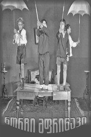 Gogi - The Young Pilot (1928)