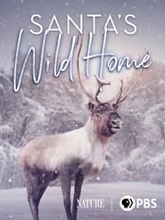 Santa's Wild Home (2020)