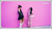A Pink Outing in LA (with GAEUL x JANGWONYOUNG)