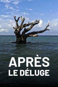 Poster Après le déluge