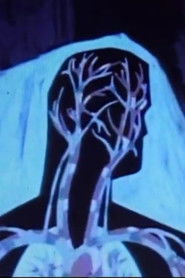 Bleeding and Bandaging