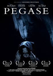 Pegasus постер