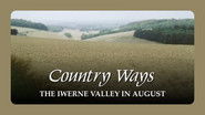 The Iwerne Valley in August