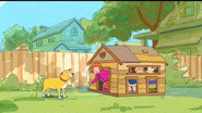 Martha in the Doghouse