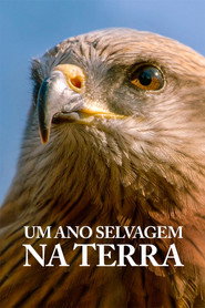 A Wild Year on Earth постер
