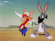 Buckaroo Bugs