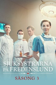Sjuksystrarna på Fredenslund Säsong 3 affisch