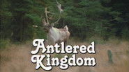 Antlered Kingdom